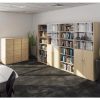 office bookcase roomshot with filing cabinets