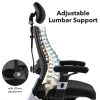 mesh back executive office chair diagram of lumbar support